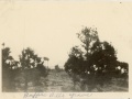 Buffalo Bill’s Grave