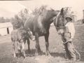 1915caHermanPearson_notsure