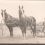 P.W. Pearson Probate Records, Part 4