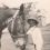 P.W. Pearson Probate Records, Part 7