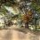 Part 4 – Life in Mobile